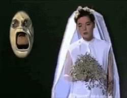Wedding Dress Bride GIF