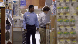 Wedgie In The Bookshop GIF