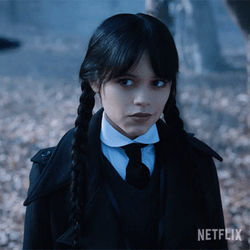 Wednesday Addams Wicked Smile Meme GIF