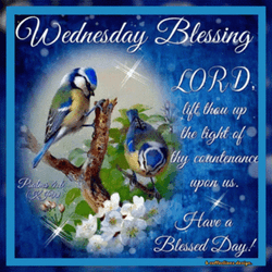 Wednesday Blessing Blessed Good Morning Wednesday GIF