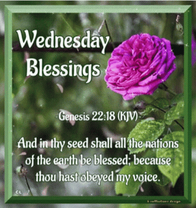 Wednesday Blessings From Genesis 22:18 KJV GIF
