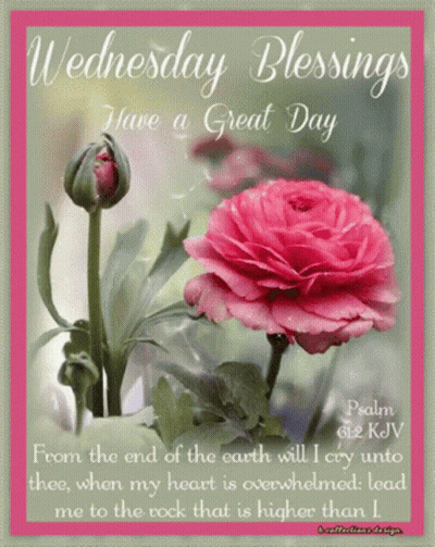 Wednesday Blessings From The End Of The Earth GIF