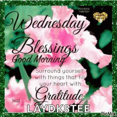 Wednesday Blessings Good Morning Surround Yourself With Gratitude GIF