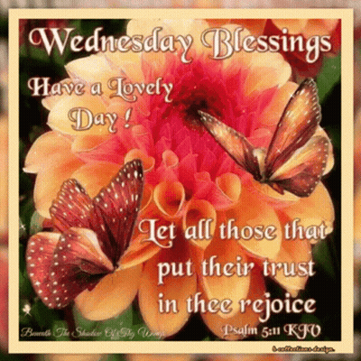 Wednesday Blessings Have A Lovely Day With Butterflies On Flower GIF