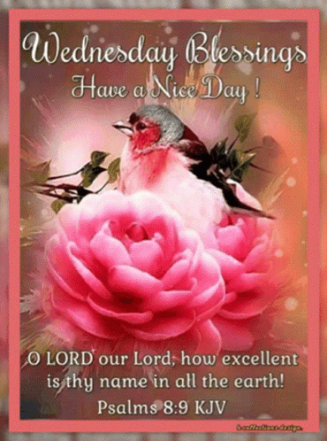 Wednesday Blessings Have A Nice Day ! O Lord Our Lord How Excellent Is Thy Name In All The Earth GIF