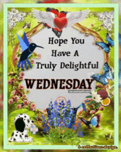 Wednesday Good Morning Wednesday GIF