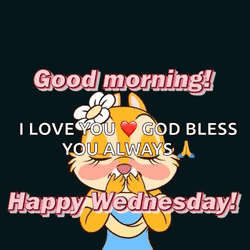 Wednesday Happywednesday GIF