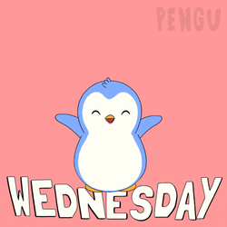 Wednesday Hump Day GIF