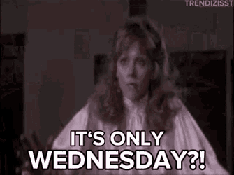 Wednesday Hump Day GIF