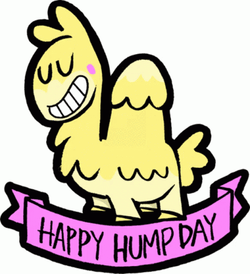 Wednesday Hump Morning Day Funny GIF
