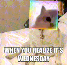 Wednesday Midweek GIF