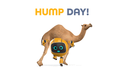 Wednesday Morning Funny Camel Hump GIF
