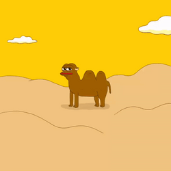 Wednesday Morning Funny Smilling Camel GIF