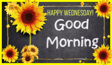 Wednesday Morning GIF