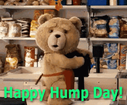 Wednesday Talking Ted Hump Day Meme GIF