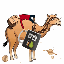 Wednesday Work Meme Lady On Camel GIF