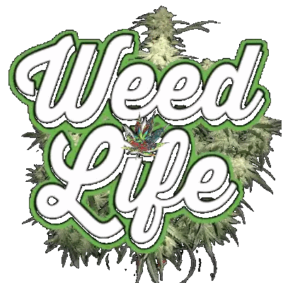 Weed Life Logo With Marijuana Leaf Sticker