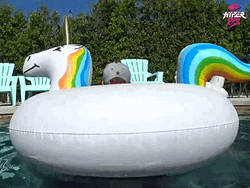 Weeee Pool Unicorn Floatie Spin GIF