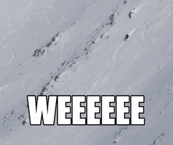 Weeee Skiing Snow GIF