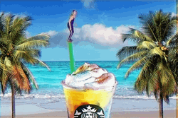 Weeee Starbucks Dive GIF