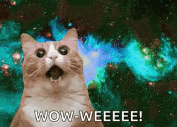Weeee Wow Cat Galaxy GIF