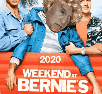 Weekend At Bernie's Poster Man In Wig GIF