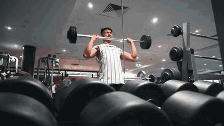 Weight Lift Workout GIF