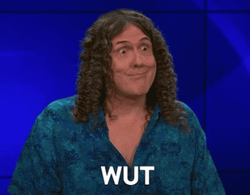 Weird Al Yankovic Wut GIF