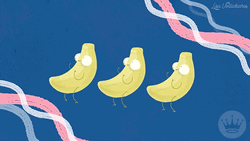 Weird Animated Bunch Of Bananas Doing Birthday Dance