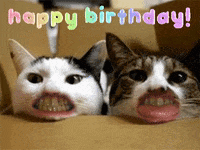 Weird Cat Mouths Greeting Happy Birthday
