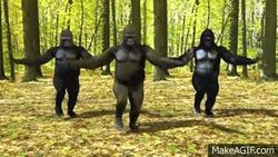 Weird Gorilla Dance