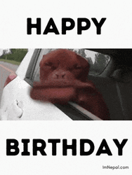 Weird Happy Birthday Big Mouth Dog GIF