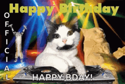 Weird Happy Birthday  To You Cat GIF