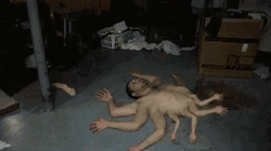 Weird Human Spiderman GIF