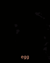 Weird Man Eating Egg With Its Shell GIF