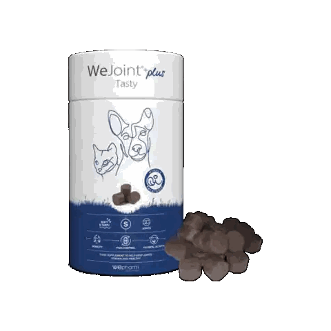 Wejoint Can Next To Chocolate Sticker