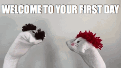 Welcome Aboard First Date Hand Puppets GIF