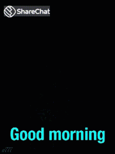 Welcome August Good Morning GIF