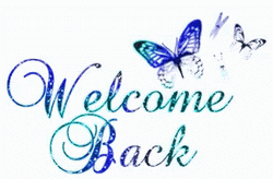Welcome Back Blue Butterfly
