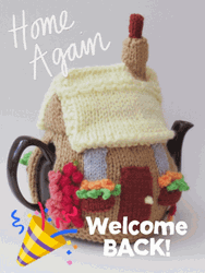 Welcome  Bacl Home Again GIF