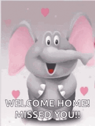 Welcome Home Missed You GIF