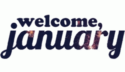 Welcome January With Fireworks GIF