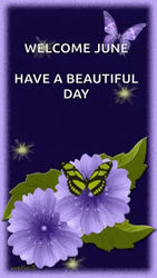 Welcome June Have Beautiful Day GIF