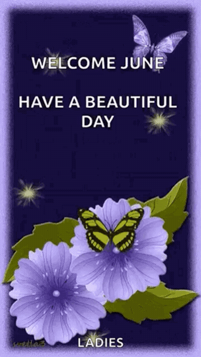 Welcome June Ladies Purple Flowers Butterflies GIF