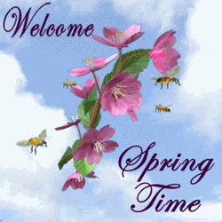 Welcome Spring Time