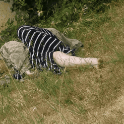 Welcome To Ashs Grass  GIF