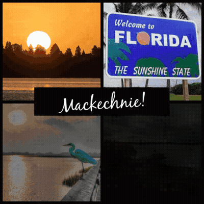 Welcome To Florida The Sunshine State Mackechnie Sign GIF