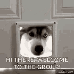 Welcome To GIF