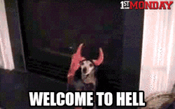 Welcome To Hell Cute Dog Devil Costume GIF