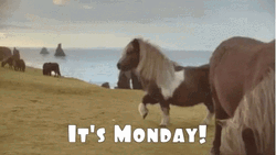 Welcome To Monday Its Monday Horse GIF